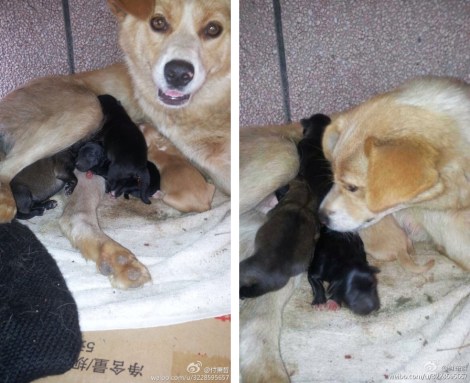 c07075c9jw1e5mdlbcdylj20qq18gak5_zps4c2eee73