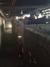 Inside of the slaughter house. These are the pins where all of the dogs were kept before they get brutally slaughtered